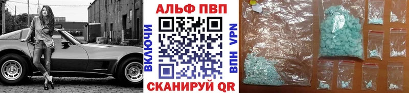 OMG tor  Новозыбков  A PVP СК 