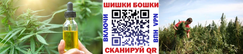 MEGA как войти  закладки  Новозыбков  Cannafood конопля 
