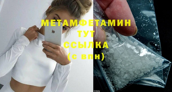 гидра Надым