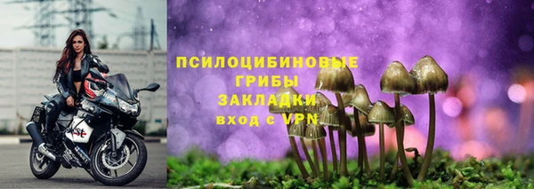 сатива Навашино